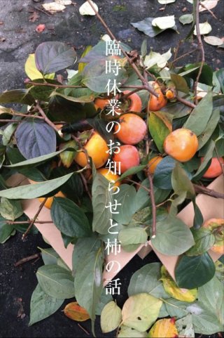 明後日日曜日（12/15）は臨時休業となります。