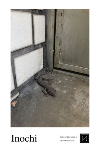 ・・・ブログを更新していたのに、、、記載を忘れました・・・