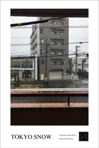 今日のブログはこんな感じ / いるか「なごり雪」・・・みたいに _ ebisu
