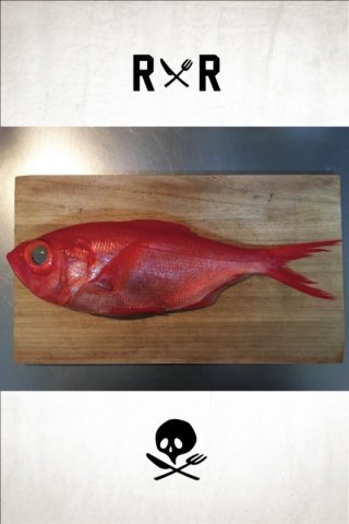 RRK ”金目鯛の煮付け＋鯛めし＋α” _ 1/1159